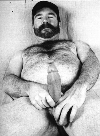 Featured bear