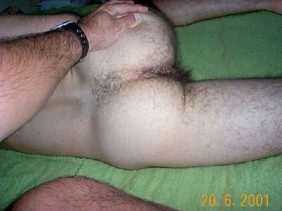 Featured bear