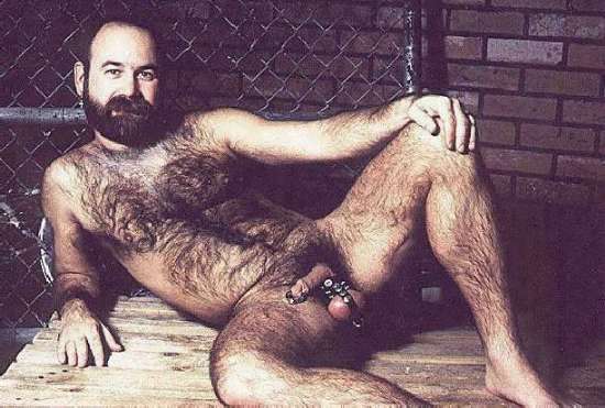 Featured bear