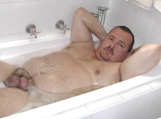 Featured bear